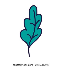 cute oak leaf plant isolated icon vector illustration