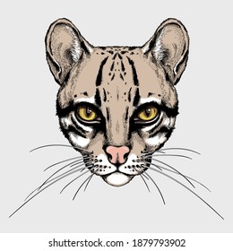 Cute ocelot head. Portrait of wild animal.