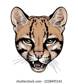 Cute ocelot head. Portrait of wild animal.