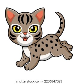 Cute ocicat cat cartoon walking
