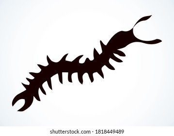Cute old large organism on light paper text space backdrop. Freehand outline brown color ink hand drawn big asia beetle zoo emblem design in retro art doodle engrave print style. Close up micro view