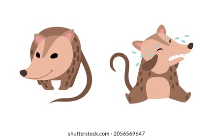 Cute Opossum Animal Crying and Standing Vector Set