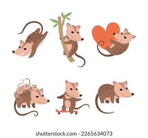 Cute Opossum Animal Engaged in Different Activity Vector Set