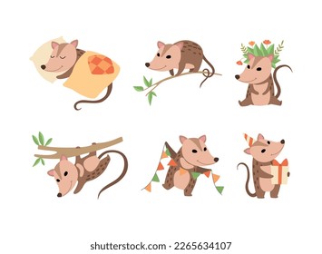 Cute Opossum Animal Engaged in Different Activity Vector Set