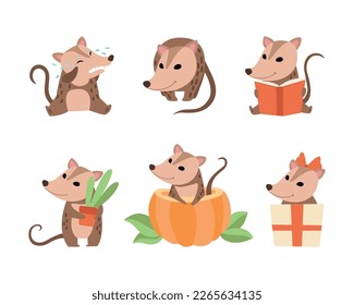 Cute Opossum Animal Engaged in Different Activity Vector Set