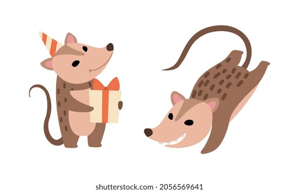 Cute Opossum Animal Holding Gift Box and Jumping Vector Set