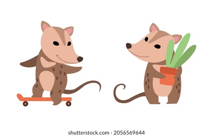 Cute Opossum Animal Holding Plant in Flowerpot and Skateboarding Vector Set