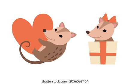 Cute Opossum Animal Holding Red Heart and Peeping Out from Gift Box Vector Set