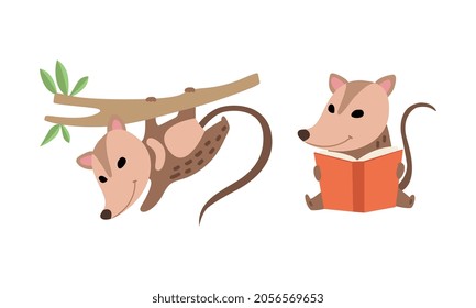 Cute Opossum Animal Reading Book and Hanging on Tree Vector Set