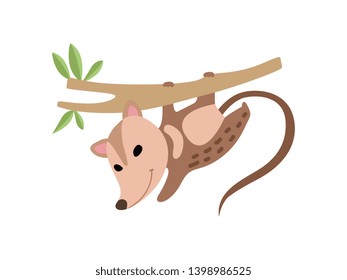 Cute Opossum Hanging on Tree Branch, Adorable Wild Animal Vector Illustration