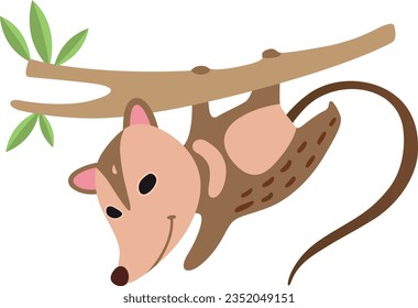 Cute Opossum Hanging with Tree Branch