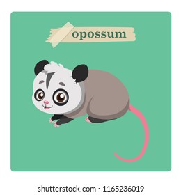 Cute opossum illustration on green background