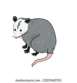 Cute opossum isolated on a white background. Vector graphics.