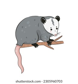 Cute opossum isolated on a white background. Vector graphics.