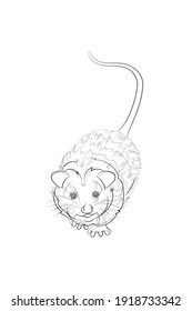 Cute opossum. Line drawing. Black and white illustration. Vector.