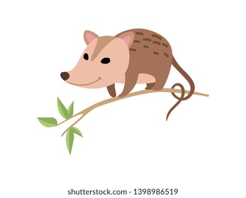 Cute Opossum Sitting on Tree Branch, Adorable Wild Animal Vector Illustration