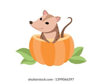 Cute Opossum Sitting in Pumpkin, Adorable Wild Animal Vector Illustration