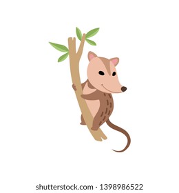 Cute Opossum Wild Animal on Tree Branch Vector Illustration