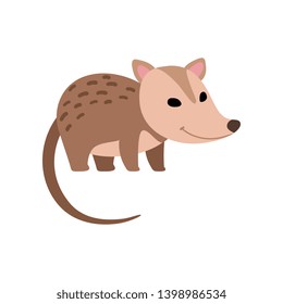 Cute Opossum Wild Animal Side View Vector Illustration