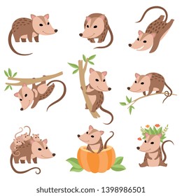 Cute Opossums Animals in Various Poses Set, Adorable Wild Animals Cartoon Characters Vector Illustration