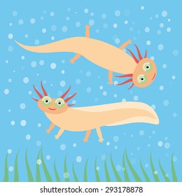 Cute orange Axolotl Cartoon character on blue background in the aquarium (Mexican salamander, Ambystoma mexicanum) albino aquarium animal. Vector