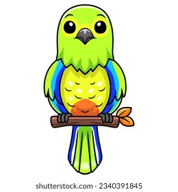 Cute orange bellied parrot cartoon on tree branch