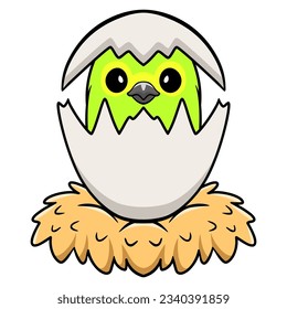Cute orange bellied parrot cartoon inside from egg