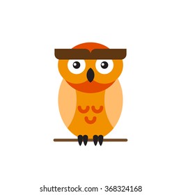 Cute orange bright owl sitting on a tree branch. 