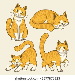 cute orange british shorthair cats cartoon character illustration for tshirt design, logo, or stickers