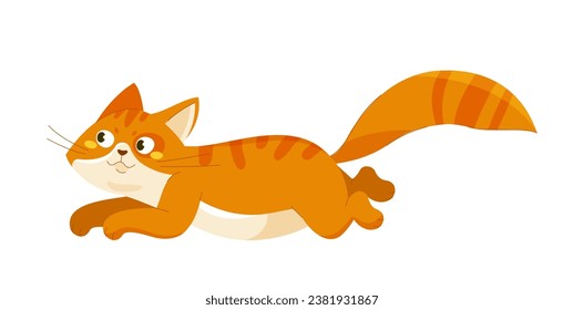 Cute orange cat. Adorable fluffy domestic animal. Charming pet runs. Fatty kitten with large tail. Poster or banner. Cartoon flat vector illustration isolated on white background