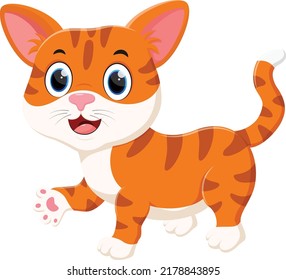 Cute orange cat cartoon isolated on white background