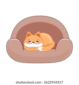 Cute orange cat curled up in brown armchair, pink cheeks, cozy pet resting, cartoon style, isolated on white