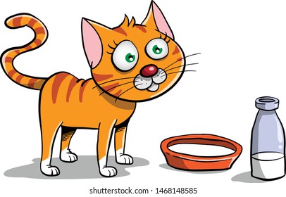 Cute orange cat eating warm milk