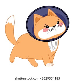 Cute orange cat with medical cone, pink cheeks, cartoon style, pet recovery, isolated on white background