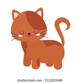 cute orange cat over white