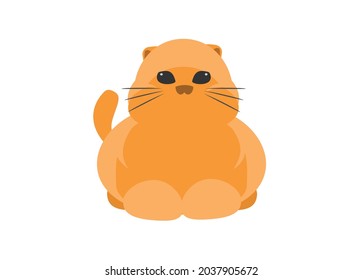 Cute orange cat. Simple flat illustration.