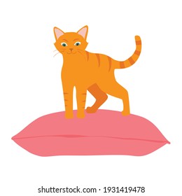 Cute orange cat sitting comfortably on cushion pillow. Cute pet. Vector