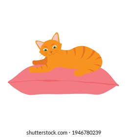 Cute orange cat sitting comfortably on cushion pillow. Cute pet. Vector