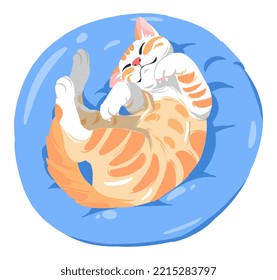 cute orange cat is sleeping on a blue soft pillow. suitable for pet theme, cute, animal, t-shirt design, animal lover, cat community. hand drawn cartoon style