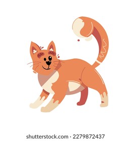 Cute orange cat is walking to find food. Flat design illustration