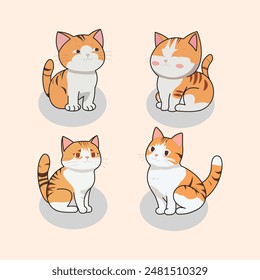 cute orange cats facing each other