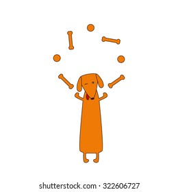 Cute orange colored brown contoured dachshund with protruding tongue, one eye closed and one opened standing on hind legs and juggling bones and balls forelegs. Vector flat style illustration