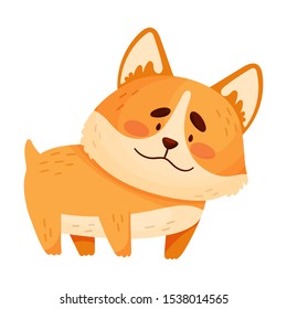 Cute orange corgi. Vector illustration on a white background.