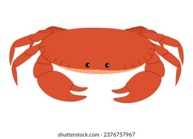 Cute orange crab. Sea and ocean animal. Underwater life. Childish shellfish character. Vector flat illustration isolated on white background