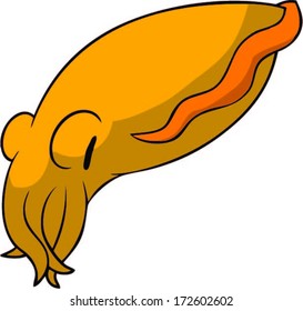 Cute orange cuttlefish