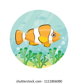 Cute orange fish