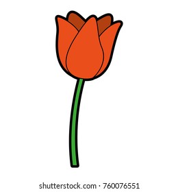 Cute Orange Flower Cartoon