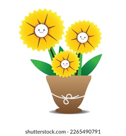 Cute orange flowers are in pots