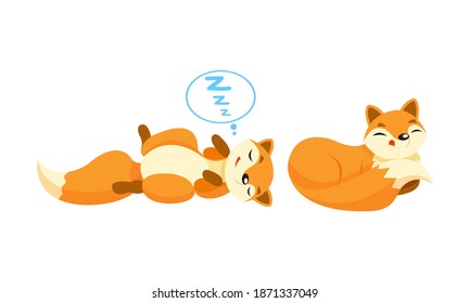 Cute Orange Fox Cuddling and Sleeping Vector Set