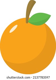 Cute Orange Fruit Flat Illustration  